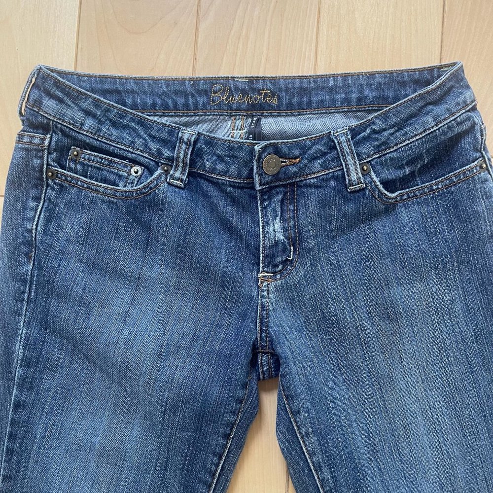 Vintage Y2K Bluenotes stretch jeans low rise flare 27/33